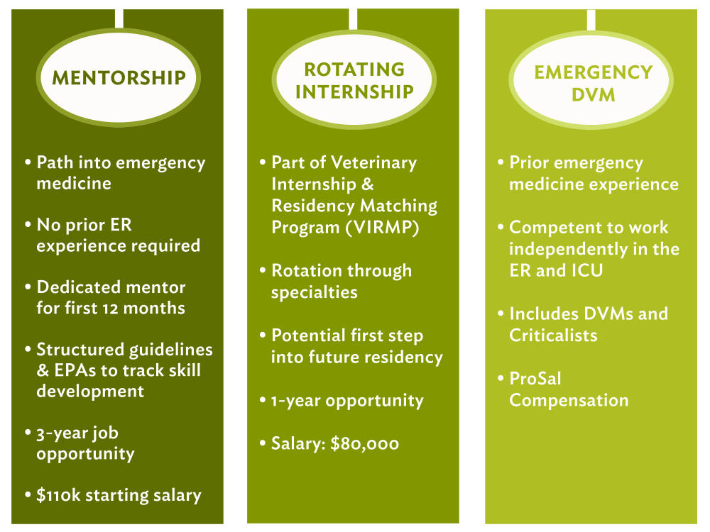 Veterinary Mentorship