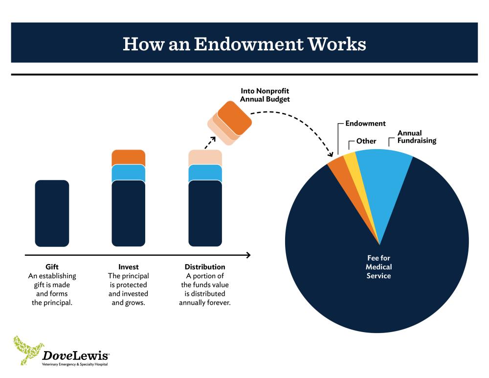 Endowment Example