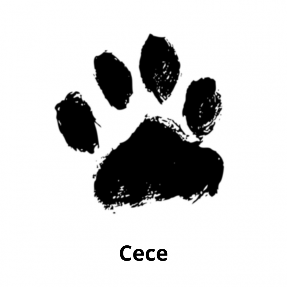 Cece paw 