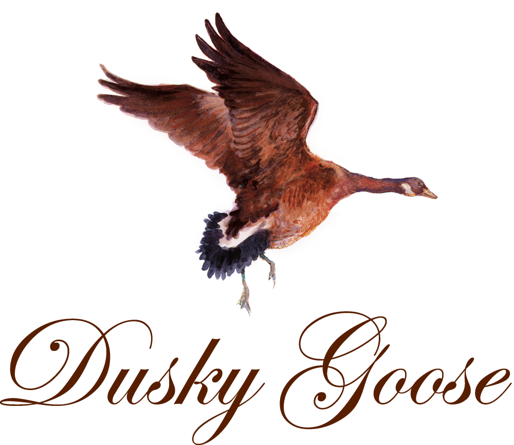 Dusky Goose