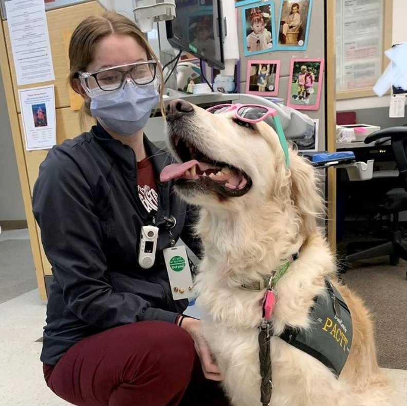 Therapy dogs