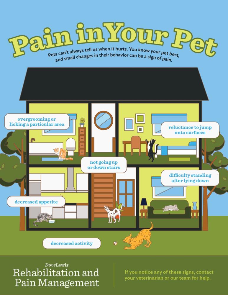 signs of pain in pets