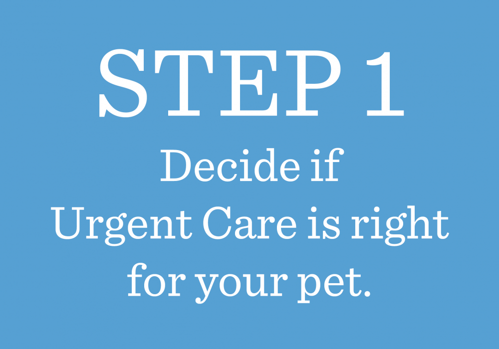 urgent care booking