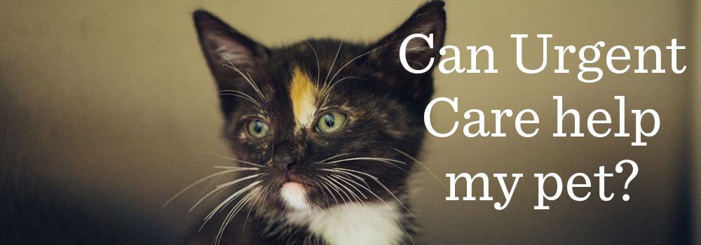 VETERINARY URGENT CARE
