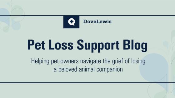 DoveLewis Emergency Animal Hospital Blog on Pet Health