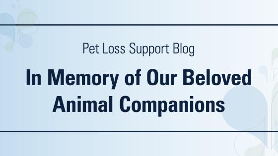 DoveLewis Emergency Animal Hospital Blog on Pet Loss Support