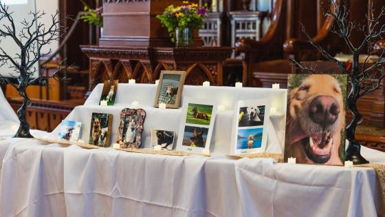 pet tribute