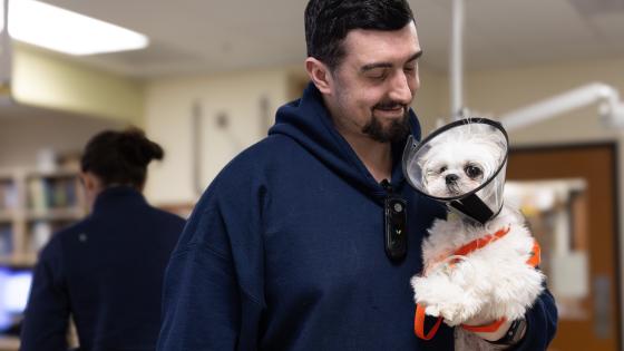 Pet rehab