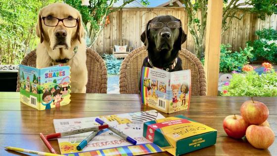 pet tips for back to school