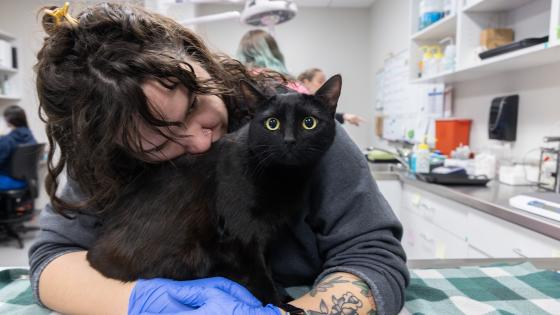 pet cancer