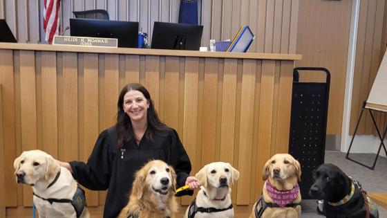 therapy dogs in court