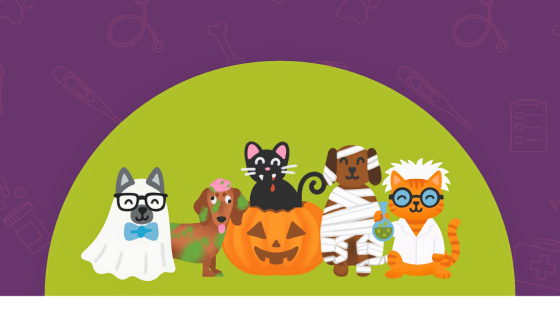 pet safety event