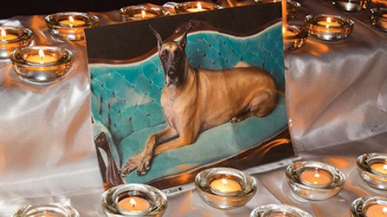 Service of Remembrance