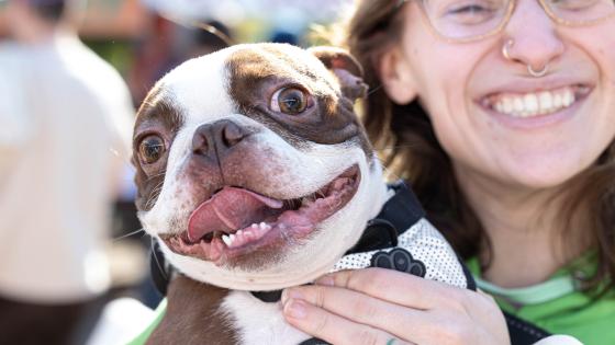 dog-friendly portland event