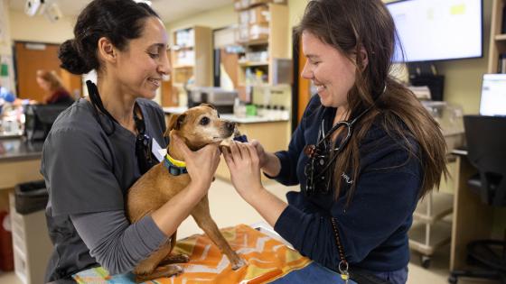 caregiver support