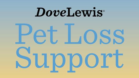 pet grief support