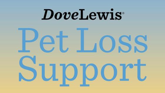 pet loss support