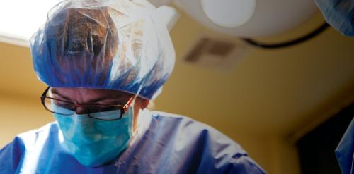Veterinary Care and Surgery Portland