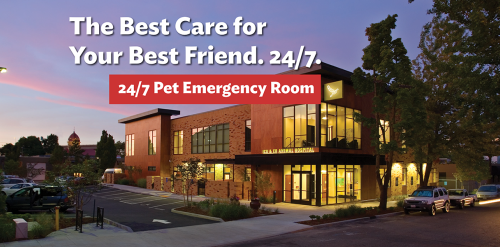 Best 24 hour animal hospital cheap near me