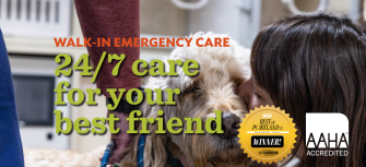 24/7 emergency veterinarian