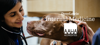 Veterinary Specialist for Pets Portland Internal Medicine