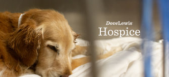 Hospice Care for Animals Portland