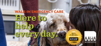 emergency vet for pets portland