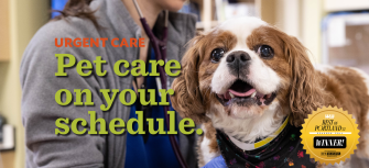 Urgent Care for Pets Portland