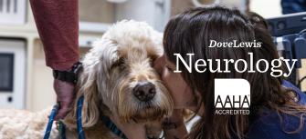 Neurology for Pets Portland
