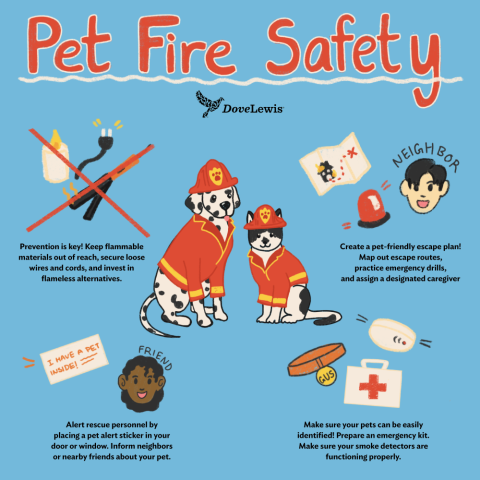 Pet fire safety