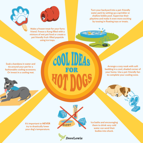 Cool Ideas for Hot Dogs