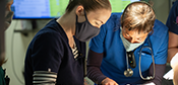 Veterinary Jobs at DoveLewis