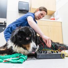 Oskar at the Pain Management Clinic
