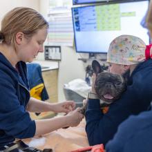 emergency vet near me