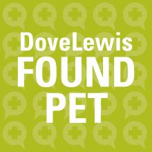 Lost pets portland, washington county