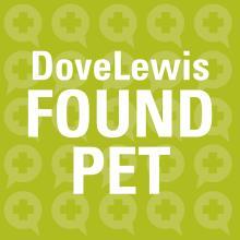 DoveLewis Found Pet Icon