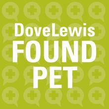 DoveLewis Found Pet Icon