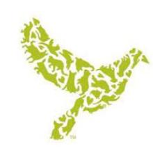 Dove Lewis Logo