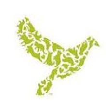 DoveLewis logo pictured - green profile of dove with wings extended