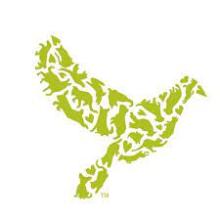 Dove Lewis Logo 