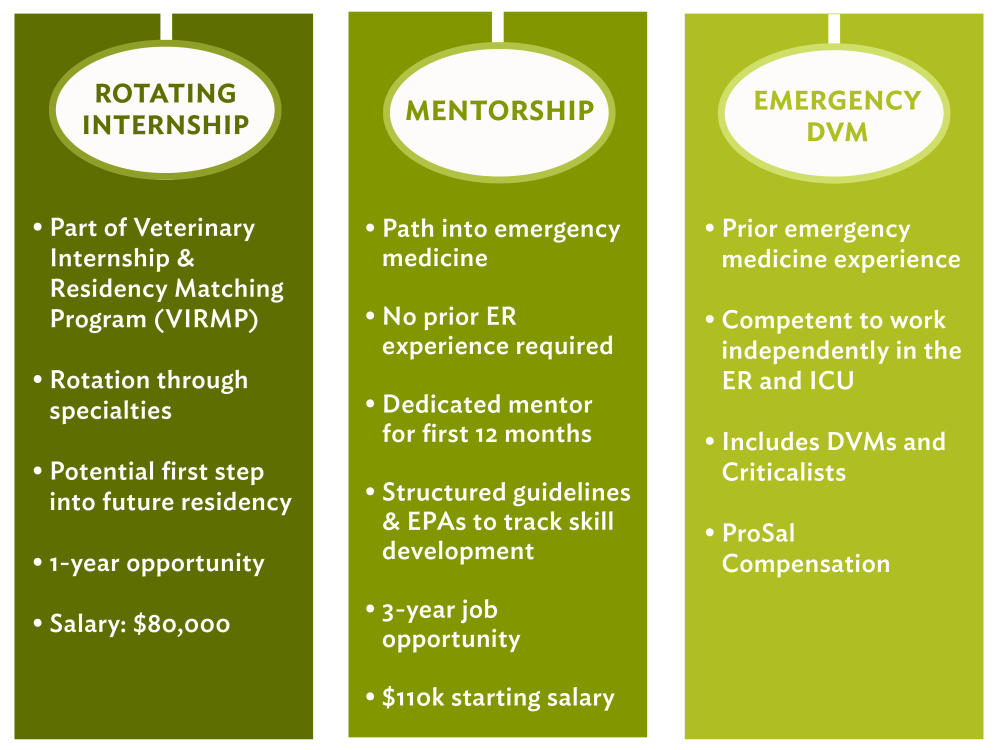 DVM internships