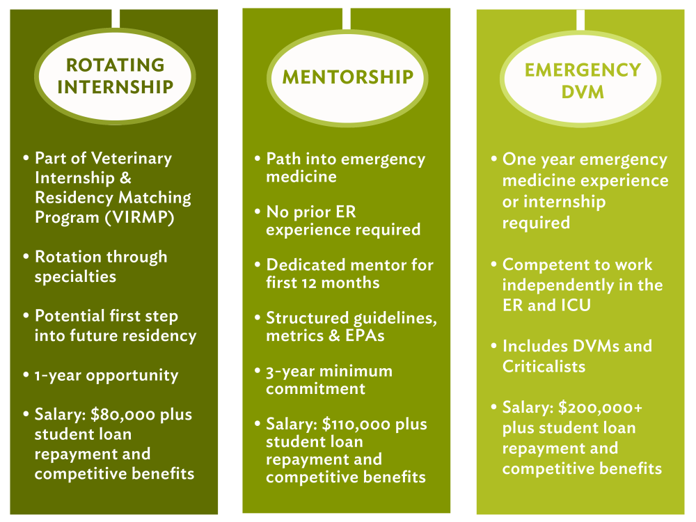 DVM internships