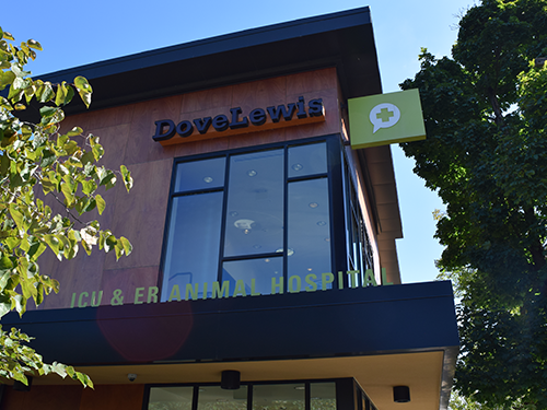 Nonprofit Jobs in Portland Oregon