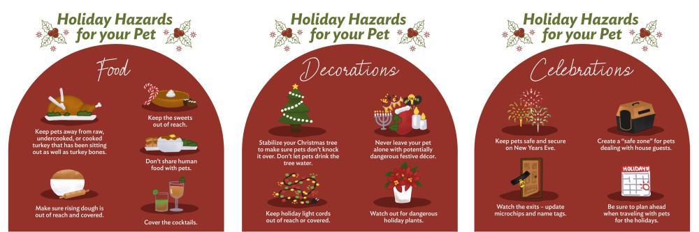 Holiday Pet Safety