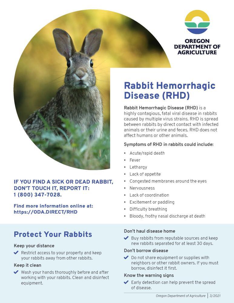 RHD in Rabbits Info from ODA