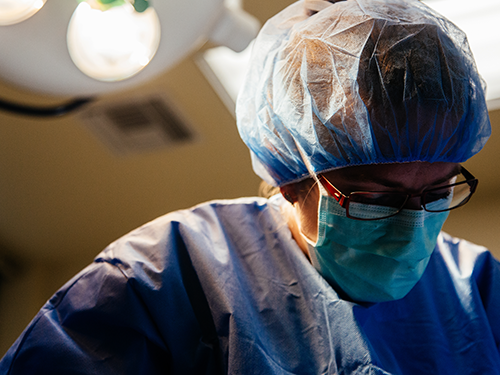 Jobs for Veterinarians Portland Oregon