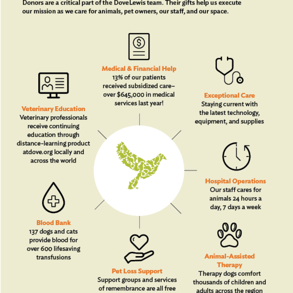 Nonprofit Business and Donations