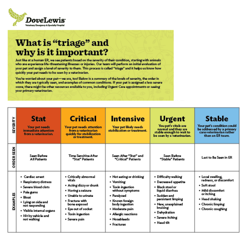 ER Conditions and Triage